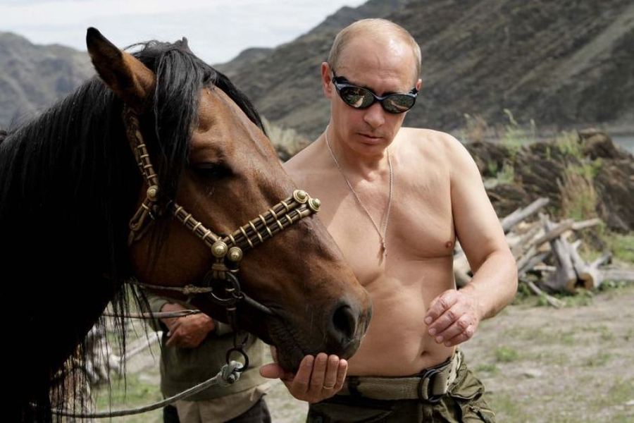 Vladimir Putin Russian horse meme Imgur