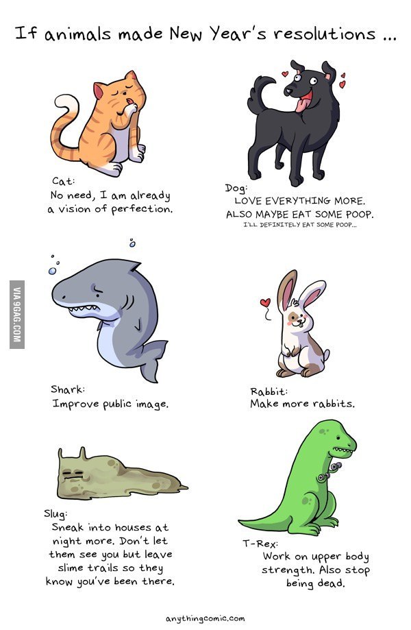 New Year Resolution meme if animals made resolutions comic 9gag Imgur