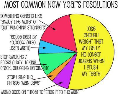 Most Common New Year Resolutions pie chart meme tumblr imgur