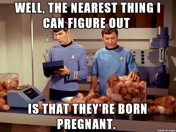 Star Trek Bones Tribbles meme they're born pregnant Imgur