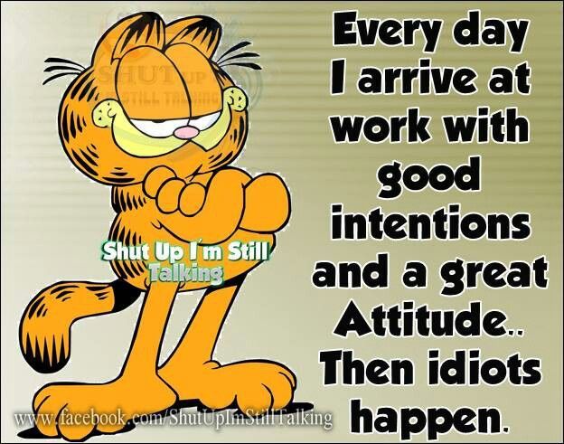 Every day I arrive at work with good intentions and a great attitude... Then idiots happen.