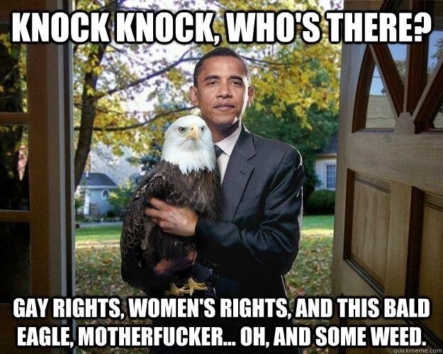 obama bald eagle motherfucker meme weed gay rights women's rights knock knock who's there imgur tumblr Facebook tumblr