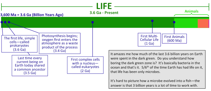 life on earth timeline infographic 1 billion years ago meme