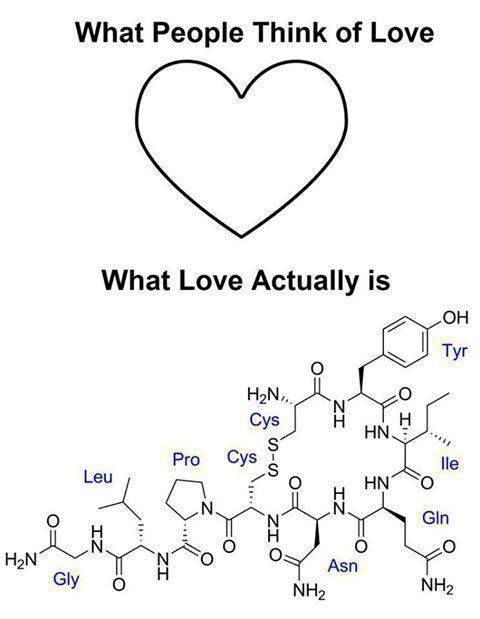 Oxytocin meme