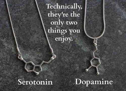 serotonin meme