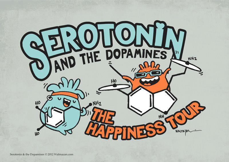 serotonin meme