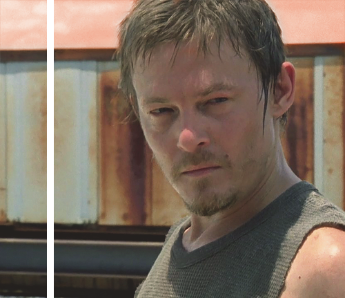 Walking Dead Daryl Dixon