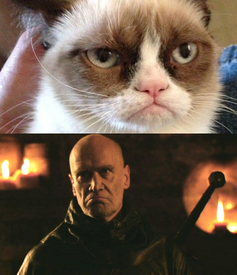 Grumpy Cat Ilyn Payne Game of Thrones