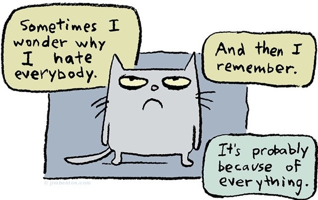 why Grumpy Cat hates everybody -- it's because of everything