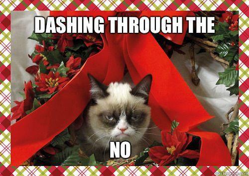 Grumpy Cat dashing through the no