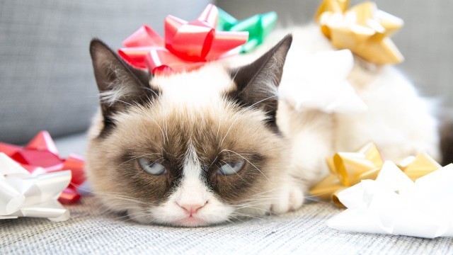 Merry Christmas Grumpy Cat