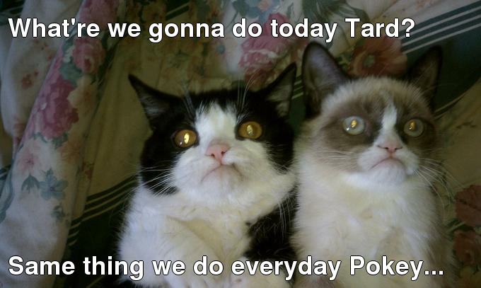 What re we gonna do today Tard Same thing we do everyday Pokey