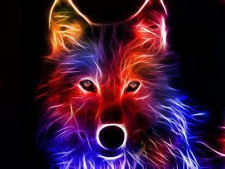 Fire and Ice Wolf