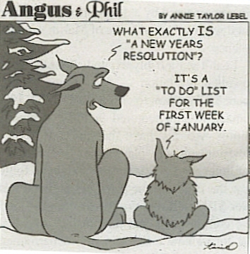 New Year's Day funny