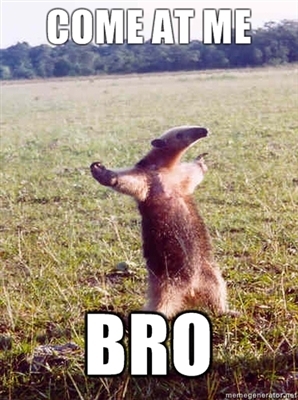 COME AT ME BRO Anteater meme