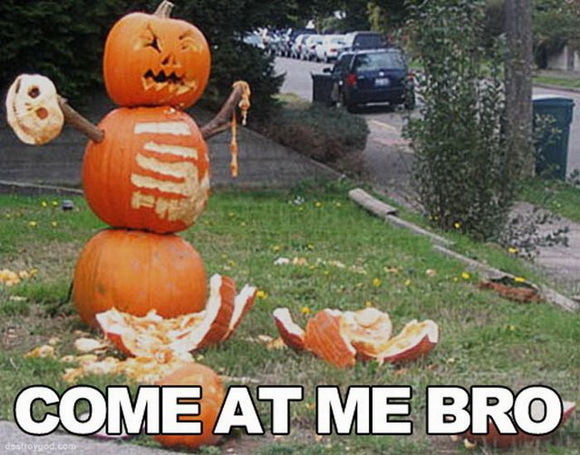 come at me bro pumpkins meme