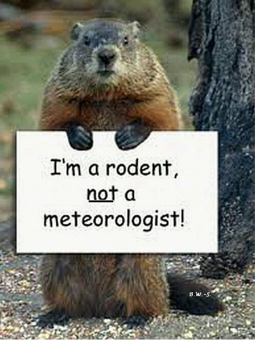 Groundhog day meme I'm a rodent not a meteorologist