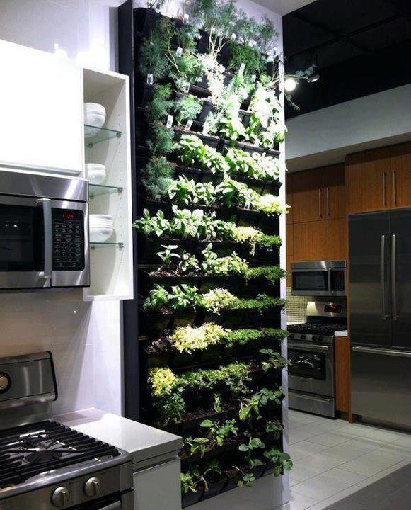 Vertical Gardening - The Ultimate Herb and Spice Rack! - PandaWhale