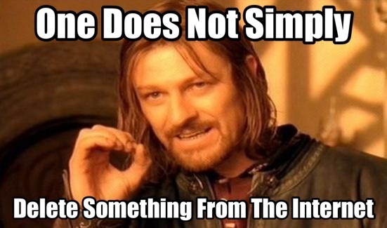 One does not simply delete something from the Internet