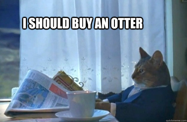 Sophisticated Cat meme - i should buy an otter