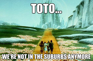 wizard of oz meme