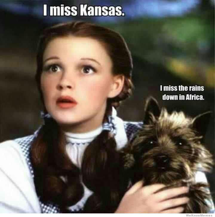 I Miss Kansas / I miss the rains down in Africa meme