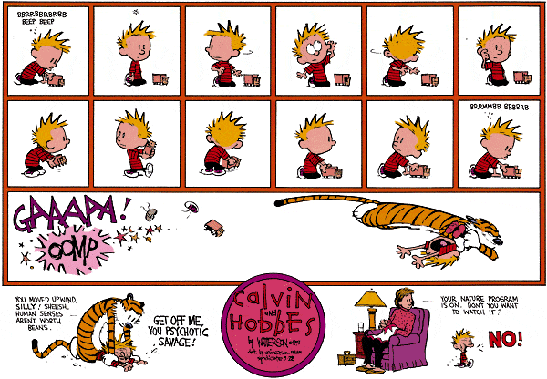 Calvin and Hobbes Comic Strip, September 27, 1992 on GoComics.com