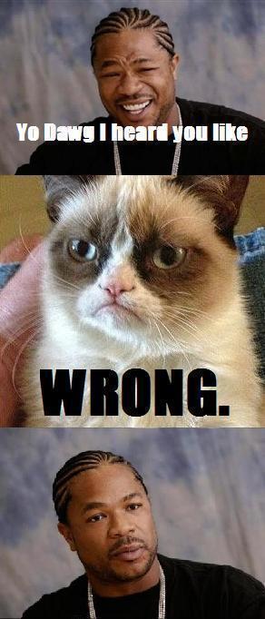 yo dawg grumpy cat meme