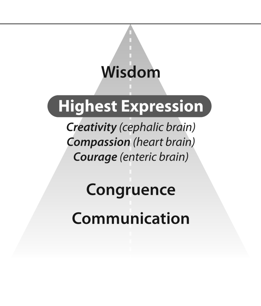 Wisdom compassion and courage