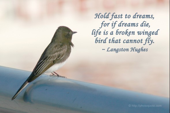 Hold fast to your dreams