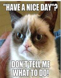 Grumpy Cat meme Don't tell me what to do!