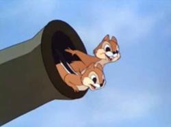 Chip n Dale Disney Wiki