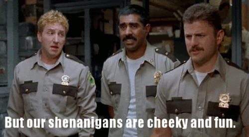 shenanigans right meow super troopers