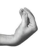 italian hand gesture understand gif