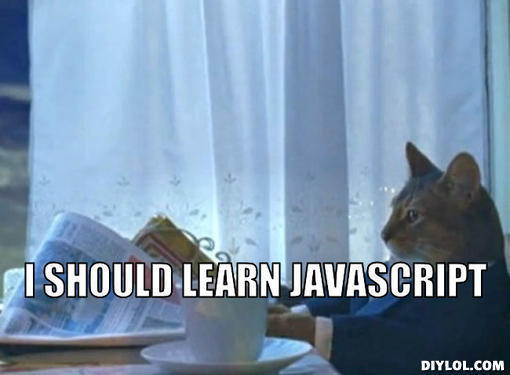 I should learn JavaScript cat meme