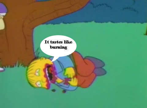 ralph wiggum tastes like burning gif