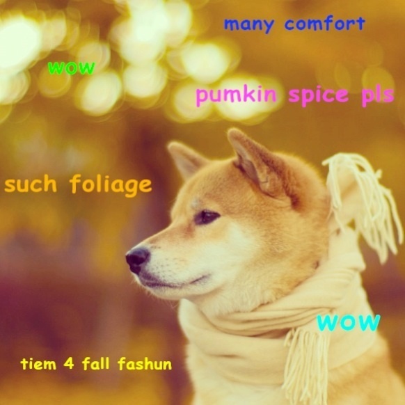 shibe 4chan meme shiba inu halloween autumn  Imgur