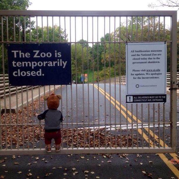 government shutdown meme National Zoo is temporarily closed