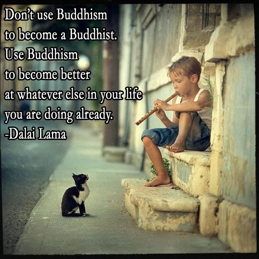 Dalai Lama quote use Buddhism to become better at whatever else in your life you are doing already Imgur