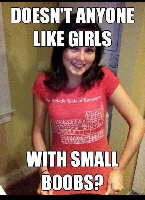 doesnt anyone like girls with small boobs meme Imgur