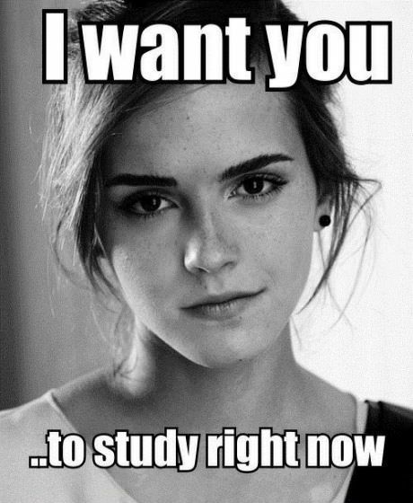 Emma Watson meme I want you to study right now Imgur