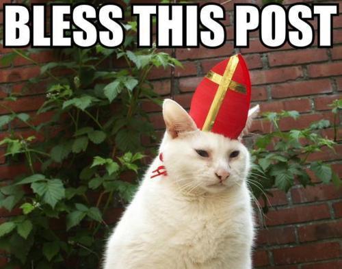 bless this post gif meme cat pope