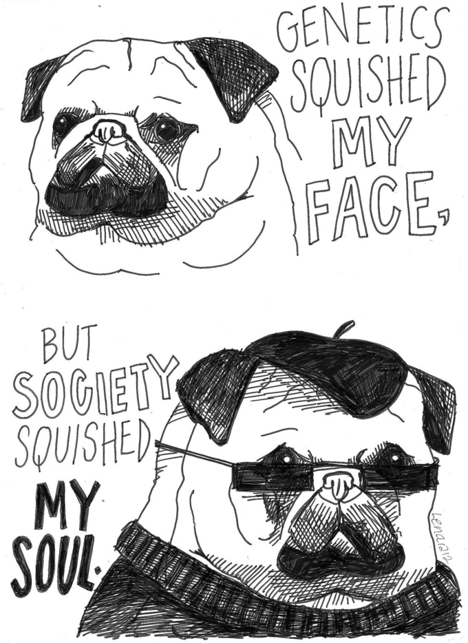 Genetics squished my face pug