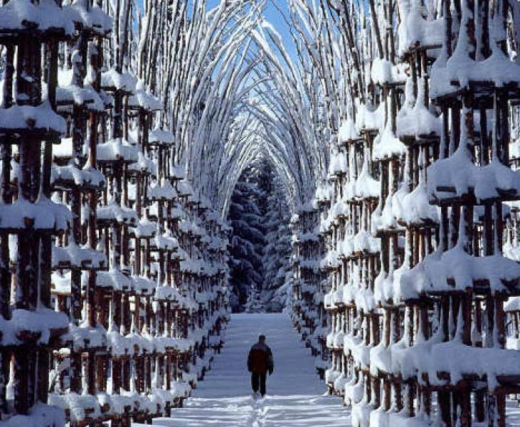 Snow Cathedral in Norway