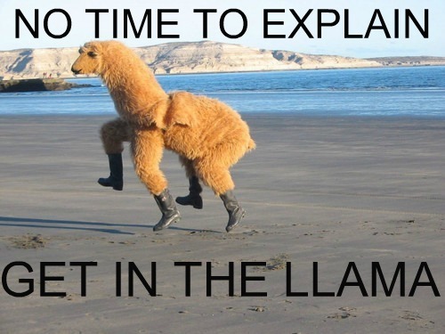 Two man llama