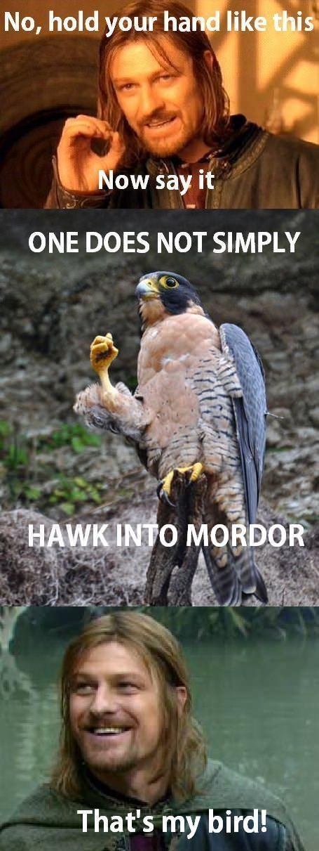 One does not simply hawk into Mordor 