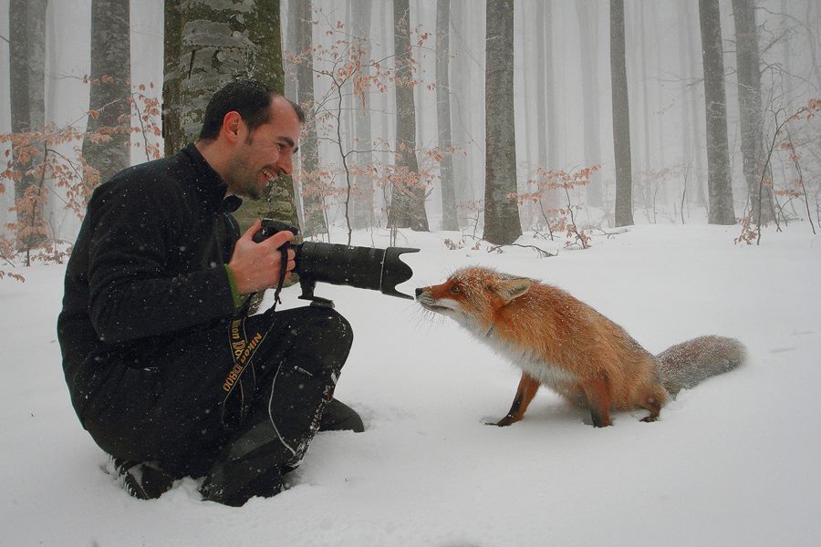 Went into the snowy woods for pics FOX 