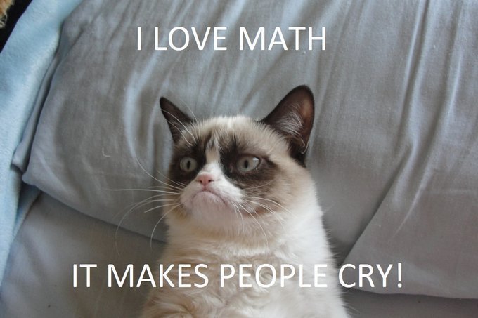 I love math It makes people cry Grumpy Cat