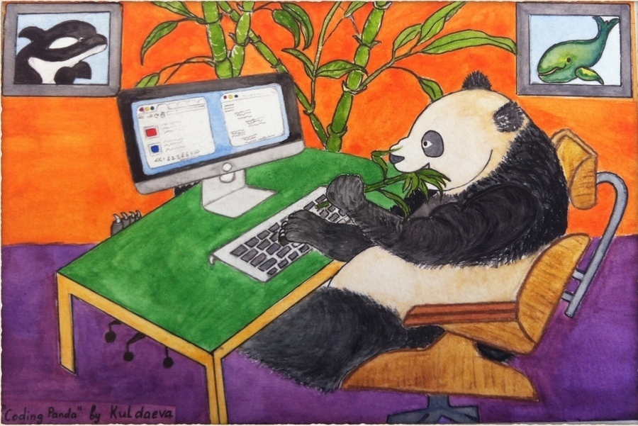 Software coding panda whale pandawhale