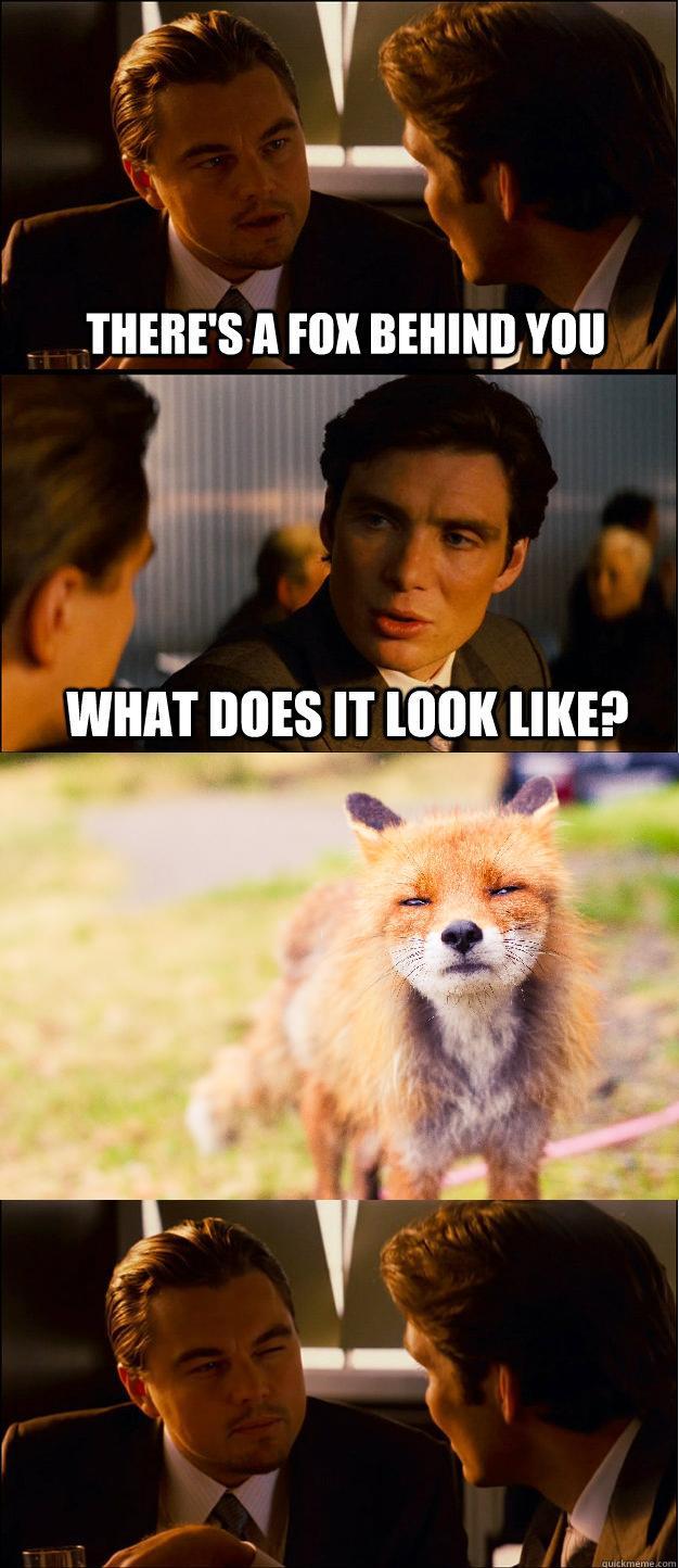 Saw a fox on the front page Imgur